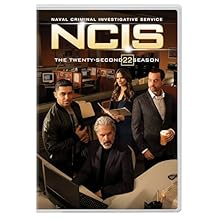 NCIS: Naval Criminal Investigative Service: The Twenty-Second Season