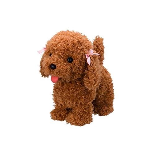 Small Dog Toy poodle PERO