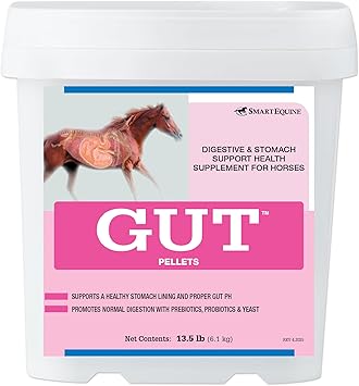 GutTM Pellets | Healthy Gut Probiotics for Horses | Equine Prebiotic & Probiotic Pellet | Horse Stomach Supplement | 13.5 lb