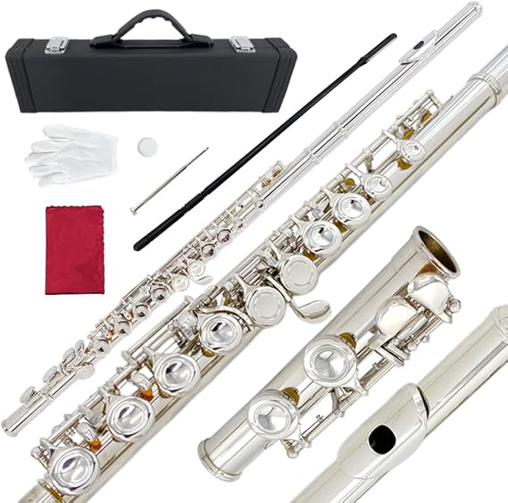 16 Key Closed Hole C Flute - Student Flute for Beginners,Easy to Play with Durable Design, Includes Carrying Case, Cleaning Kit, Gloves, Perfect for Learning(Silver)
